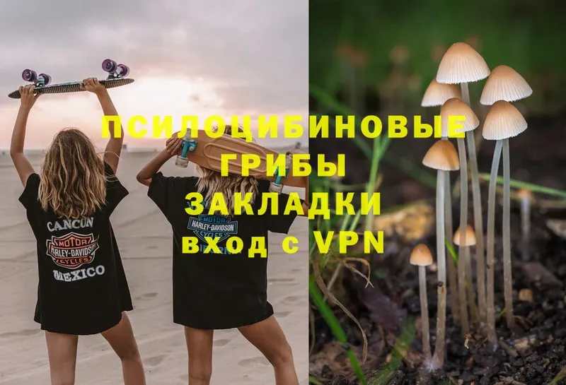 цены наркотик  Конаково  Галлюциногенные грибы Psilocybine cubensis 